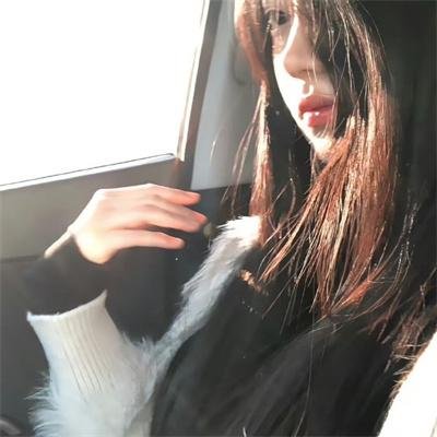 拦截火狐狸海报